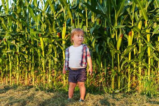 The 8 Best Corn Mazes in Alabama!