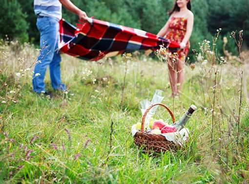 The 14 Best Picnic Spots in Alabama!