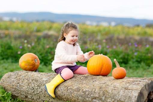 The 7 Best Pumpkin Patches in Alabama!
