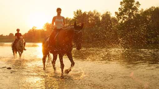 10 Best Horseback Riding Services in Arkansas!