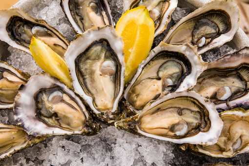 7 Best Places for Oysters in Arkansas!