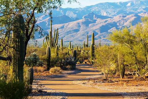 20 of the Best Things to Do in Arizona!
