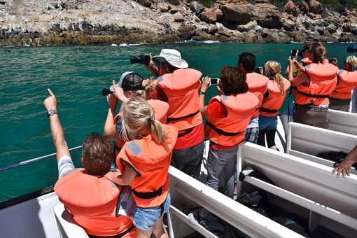 The 10 Best Boat Tours in Arizona!