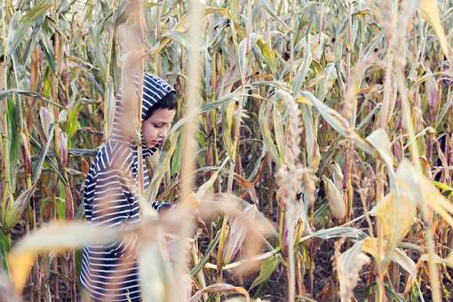 The 9 Best Corn Mazes in Arizona!
