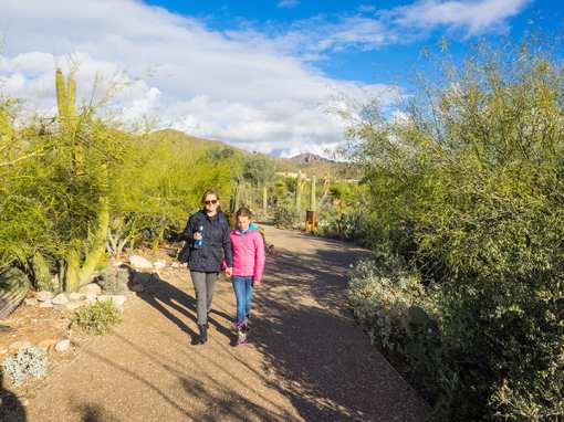11 of the Best Free Things to Do in Arizona!