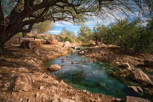 The 10 Best Nature Centers in Arizona!