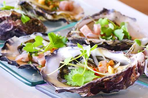 8 Best Places for Oysters in Arizona!