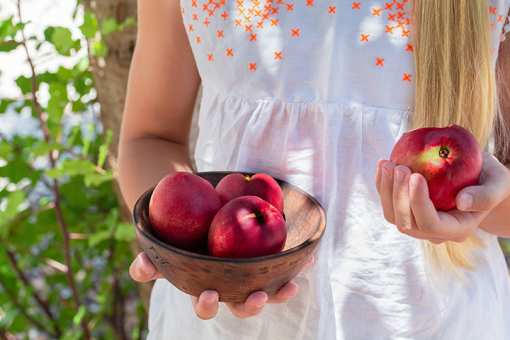 5 Best Places to go Peach Picking in Arizona!
