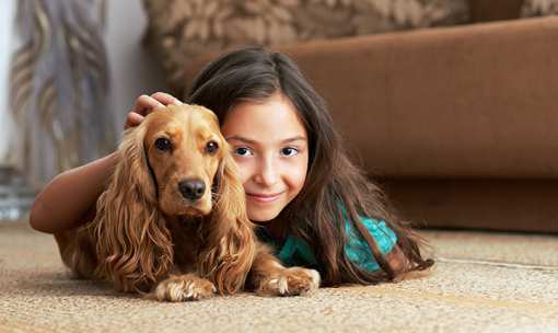 10 Best Carpet Cleaning Services in California!