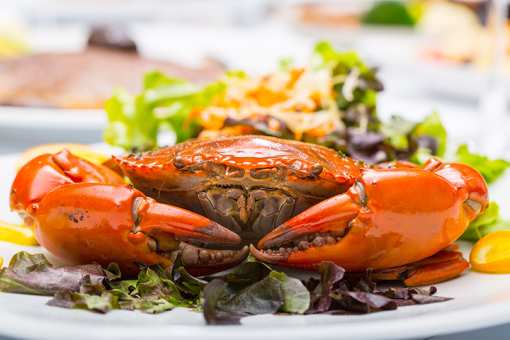 The 9 Best Places for Crab in California!