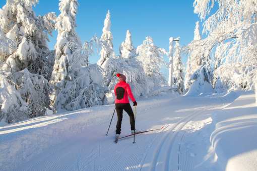 10 Best Places for Cross Country Skiing in California!
