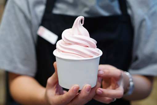 8 Best Frozen Yogurt Places in California!