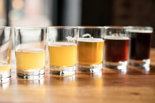 The 10 Best Breweries in Colorado!