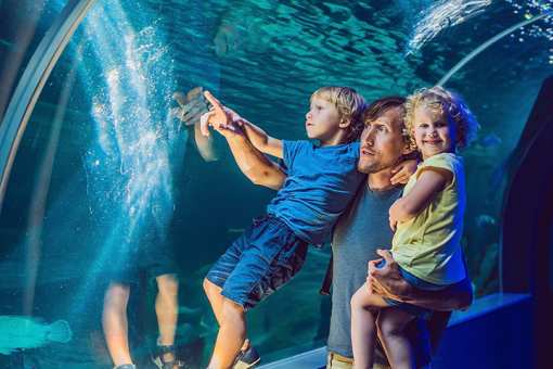 The 14 Best Family-Friendly Attractions in Colorado!