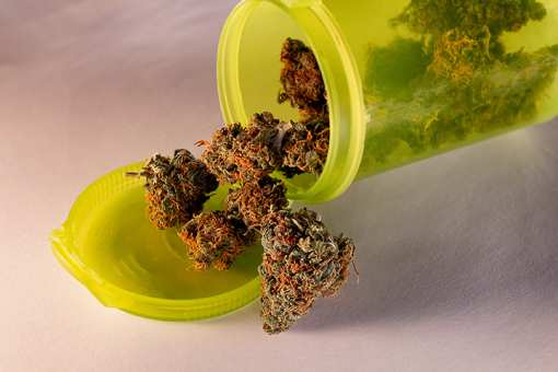 10 Best Marijuana Dispensaries in Colorado