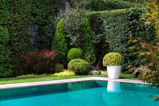 9 Best Pool Cleaning and Maintenance Services in Colorado!