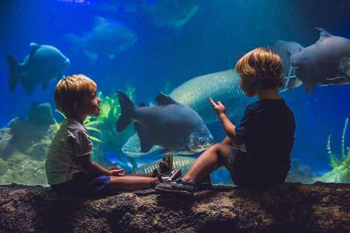 The 9 Best Educational Activities for Children in Connecticut!