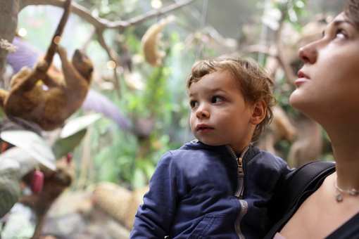 The 14 Best Family-Friendly Attractions in Connecticut!