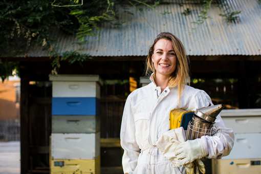 6 Best Honey Farms and Apiaries in Connecticut!