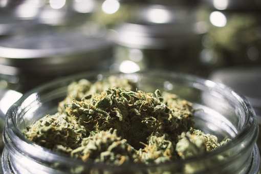 6 Best Marijuana Dispensaries in CT