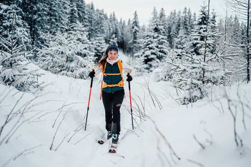Best Places for Cross Country Skiing in Delaware