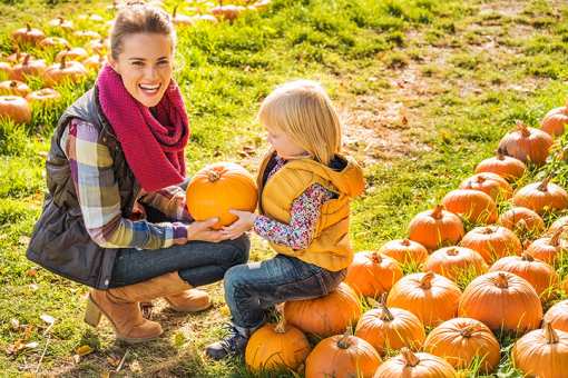 The 9 Best Pumpkin Patches in Delaware!
