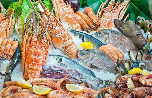 10 Best Seafood Markets in Delaware!