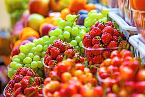 The 8 Best Farmers Markets in Florida!