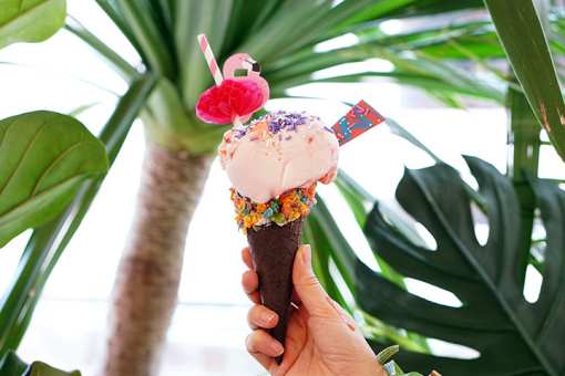 The 10 Best Ice Cream Parlors in Florida!
