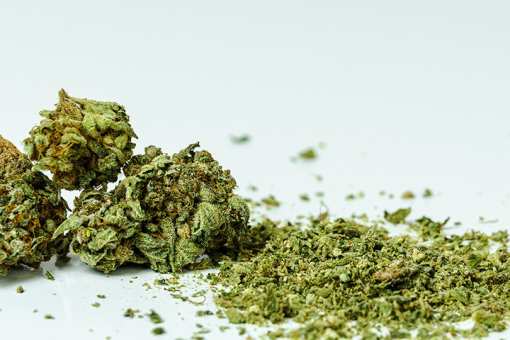 10 Best Marijuana Dispensaries in Florida