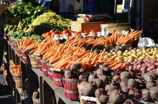 The 7 Best Markets in Florida!
