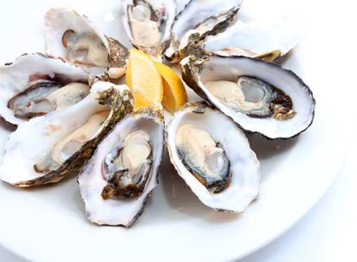 10 Best Places for Oysters in Florida!