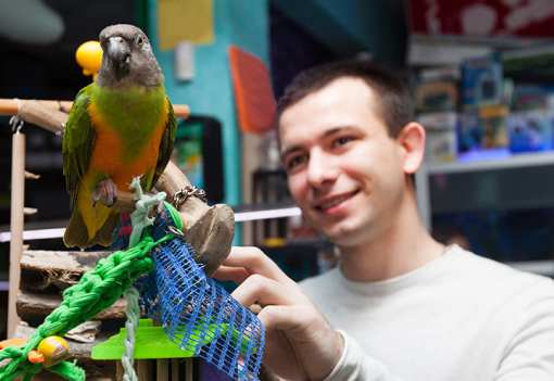 The 8 Best Pet Stores in Florida!