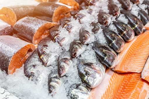 10 Best Seafood Markets in Florida!