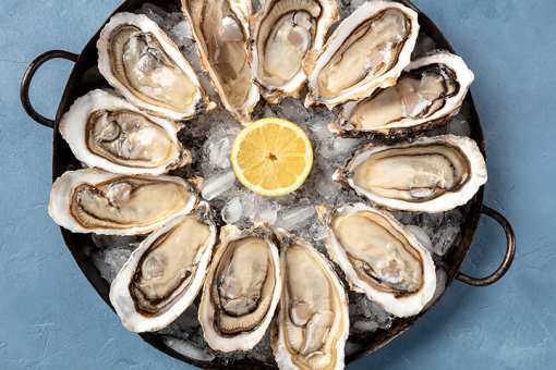 10 Best Places for Oysters in Georgia!