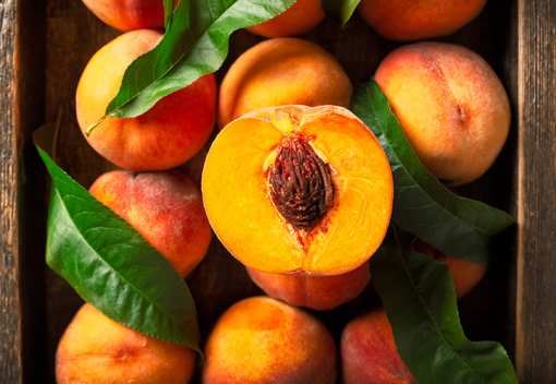 5 Best Places to go Peach Picking in Georgia!