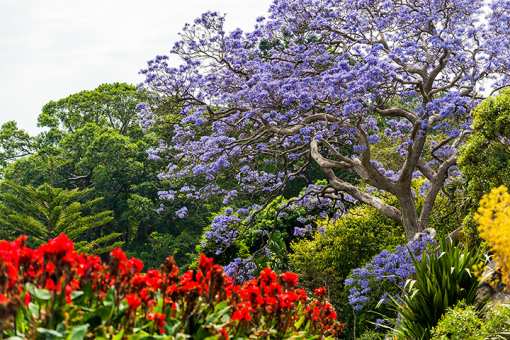 10 Beautiful Botanical Gardens in Hawaii!