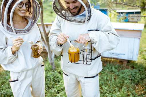6 Best Honey Farms and Apiaries in Hawaii!