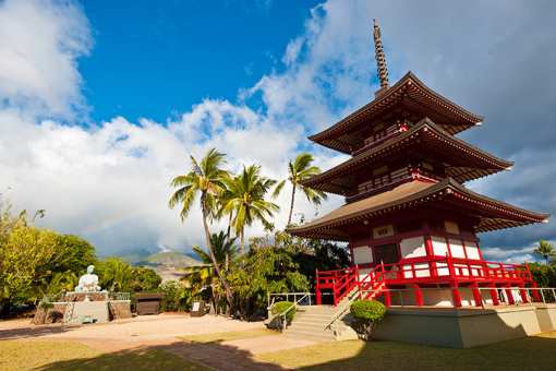 7 of the Best (and Most Offbeat) Attractions in Hawaii