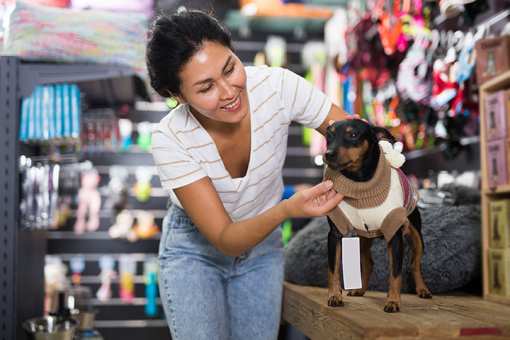 10 Best Pet Stores in Hawaii