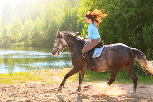 6 Best Horseback Riding Services in Iowa!