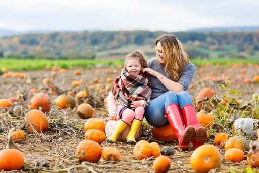 The 9 Best Pumpkin Picking Spots in Iowa!