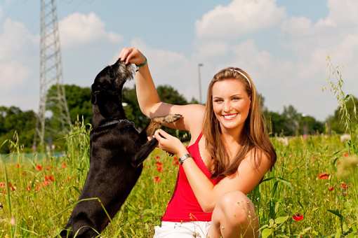 9 Best Dog Trainers in Idaho!