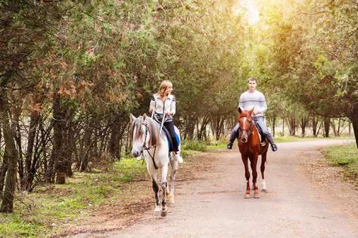 10 Best Horseback Riding Services in Idaho!