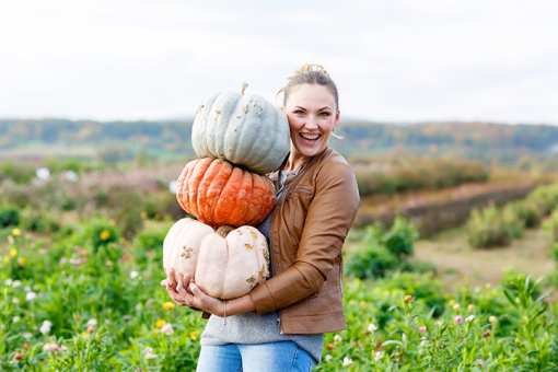 The 9 Best Pumpkin Picking Spots in Idaho!