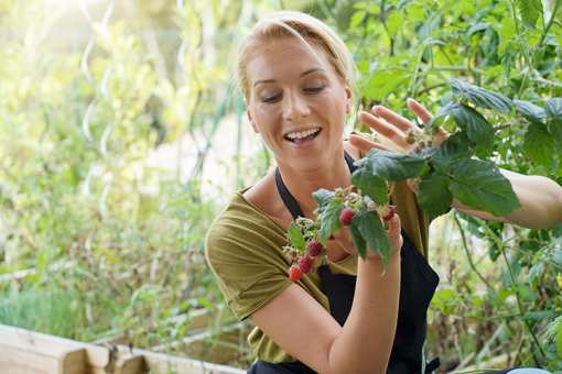 Best Places to Pick Raspberries in Idaho!