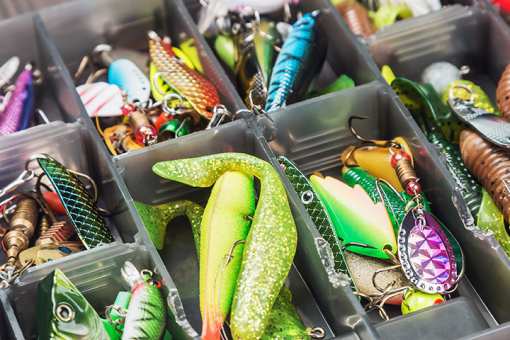 The 7 Best Bait Shops in Illinois!