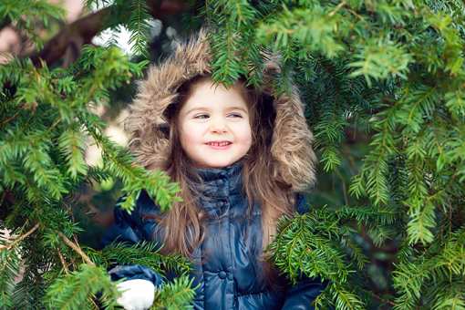 10 Best Christmas Tree Farms in Illinois!