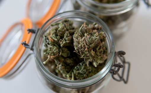 10 Best Marijuana Dispensaries in Illinois