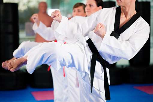 10 Best Taekwondo Studios in Illinois!